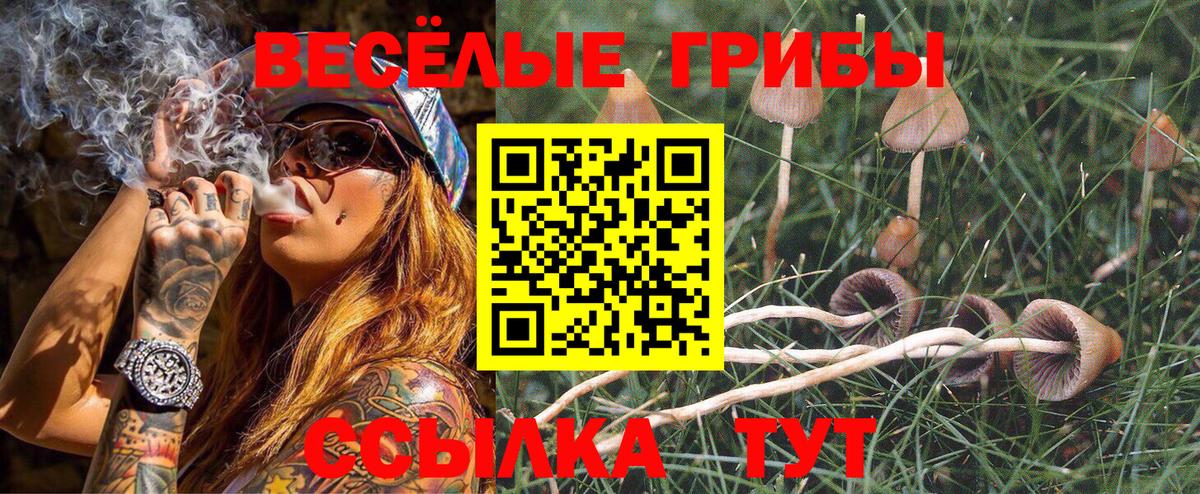 Псилоцибиновые грибы мухоморы Белореченск